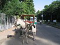 foto 533